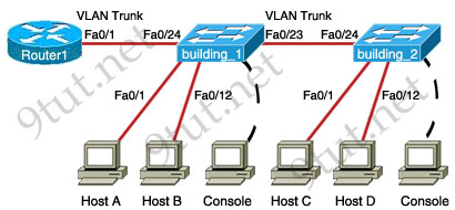 VTP Configuration Sim