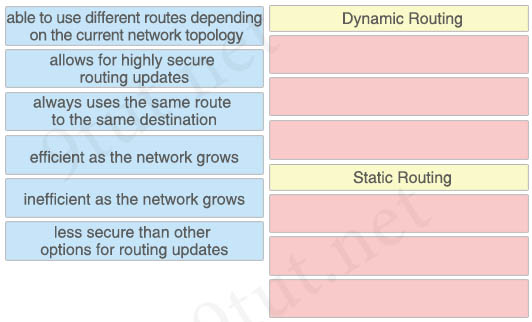 Static_dynamic_routing.jpg