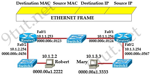 Middle_IP_MAC_packets_travel.jpg