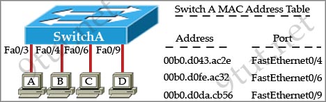 switch_send_receive_frames.jpg