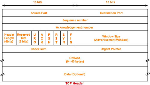 TCP_Header.jpg
