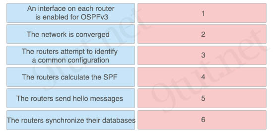 OSPFv3_neighbor_relationship.jpg