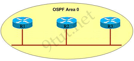 OSPFneighbor.jpg